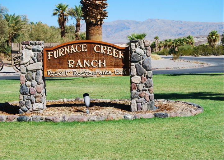 I know right...?? Grass in a desert!!